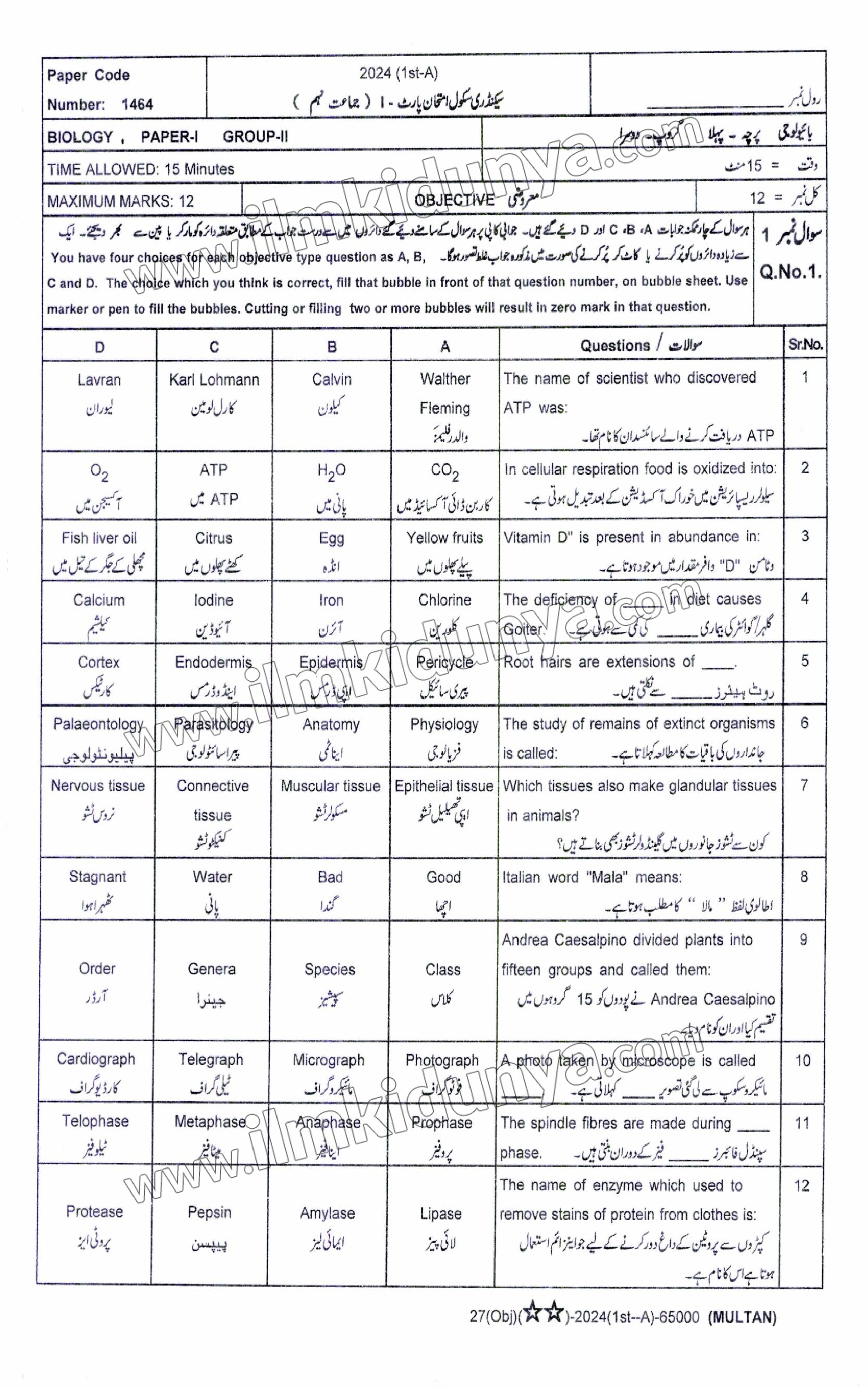 Paper Image
